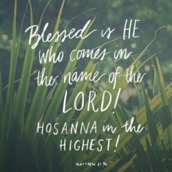 Open 28th March 2021 - Palm Sunday online worship